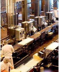 Food Vision @ Mandai (D25), Factory #516237251